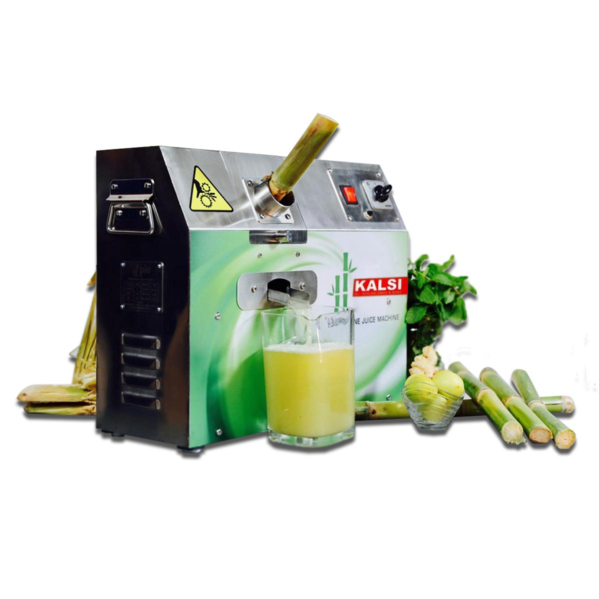 Mini sugarcane 2024 juice machine